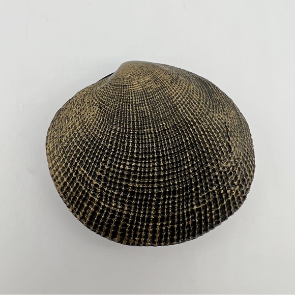 DUWOP Seashell Cheek Dual & 2 Caribbean Iced Teas - Blush/Highlighter / Lipgloss - Picture 3 of 16